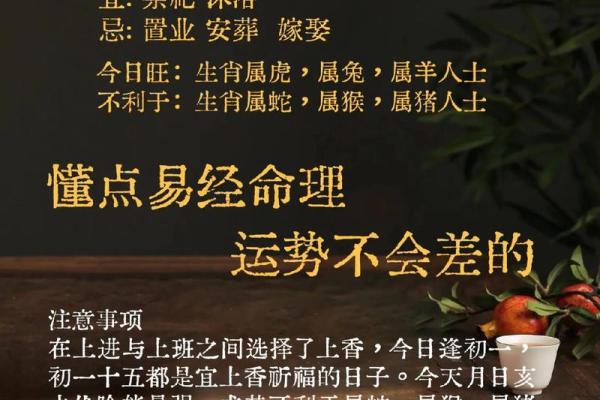 探秘乙木命：为何被认为是最优命格的秘密