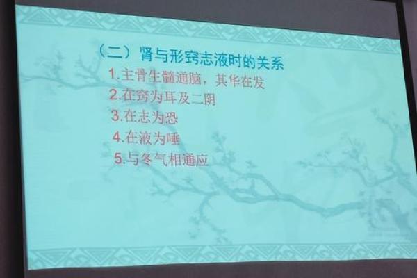 探究粤语中“心命时间”的深层含义与生活智慧