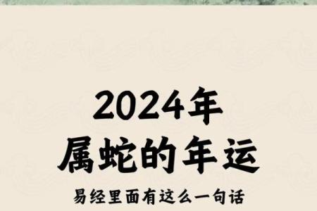 探秘属蛇辰时出生的命格与人生机遇