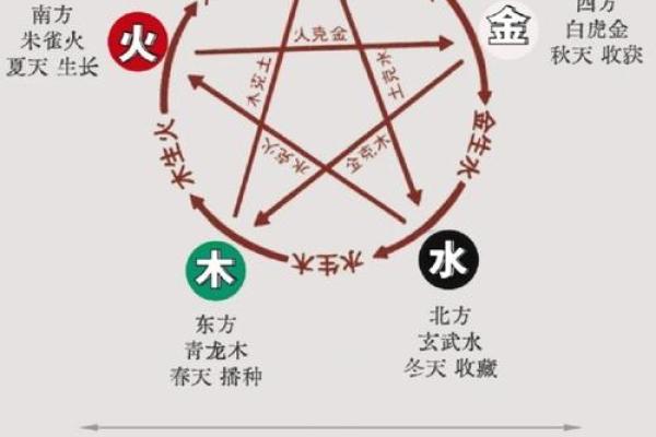 探究土命与木命的不合之谜：五行之间的微妙关系