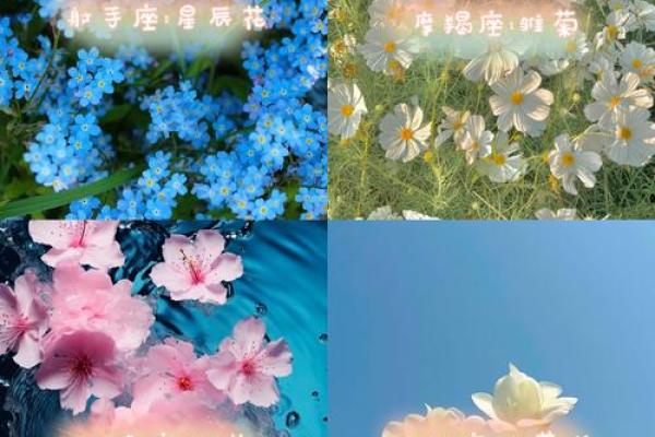 四月出生的星座运势解析：命好的人生轨迹与潜力