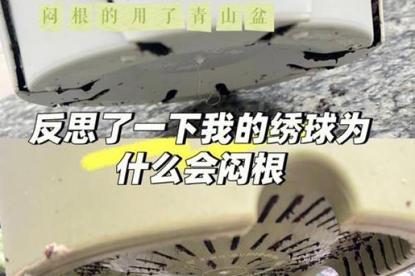 早错了男人是什么命：命运与抉择的深刻反思