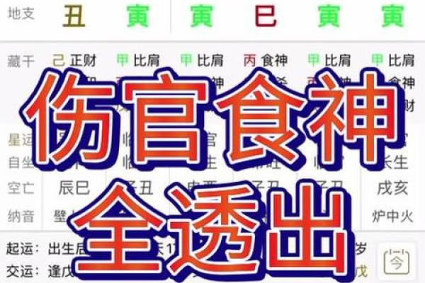 张小斐八字命格解读：揭示她背后的命运玄机与人生轨迹