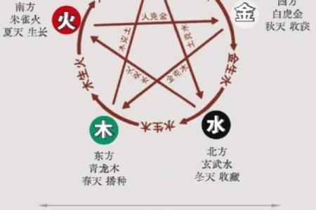 探究土命与木命的不合之谜：五行之间的微妙关系