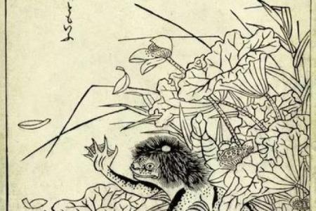 四月出生的水虎宝宝：命运与性格的多元解析