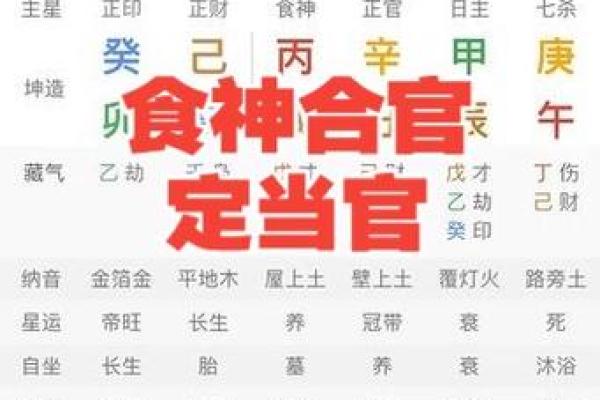 探索男命八字日干合官的深层寓意与人生影响