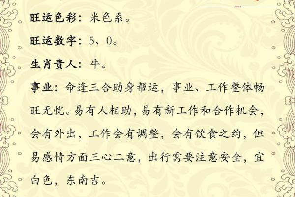 早上八点的鸡：解读鸡在命理中的象征与人生启示