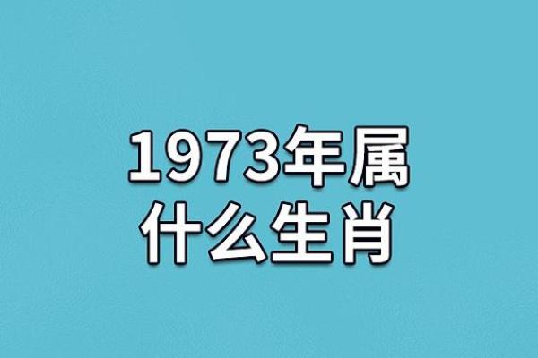 水牛命与哪些命最相配？深度解析伴侣选择！