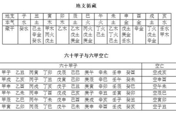 算命揭秘：金龙命是什么命，带你开启命运之门