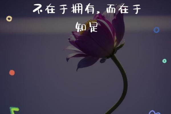 追寻自我立福之道：用心践行每一步，成就幸福人生
