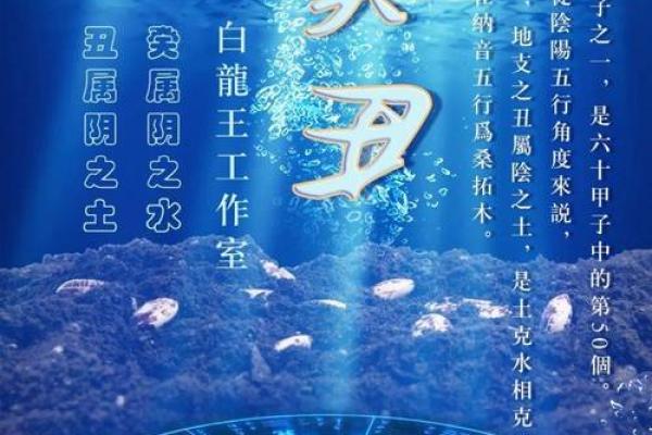 水命人在2020年的运势分析与生活指南