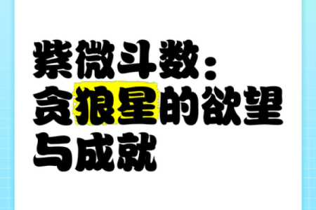 贪狼命格与命理的完美结合：探寻理想搭配的奥秘