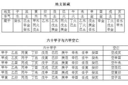 算命揭秘：金龙命是什么命，带你开启命运之门