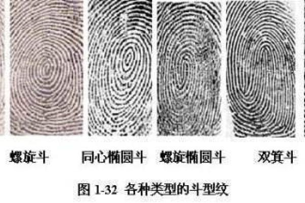 双箕之星论壬命的深层含义与启示
