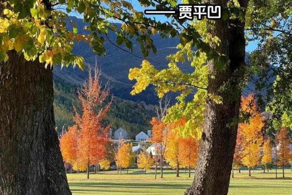 为什么好人的命都不好？探讨善良与命运的关系
