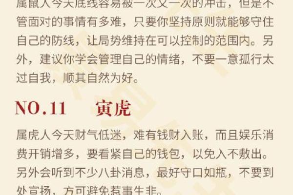 属猪戌时男孩命理分析：揭示属于他们的精彩人生之路