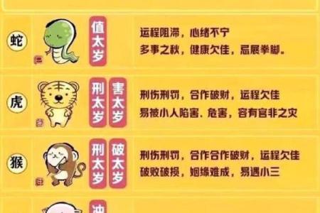 属猪戌时男孩命理分析：揭示属于他们的精彩人生之路
