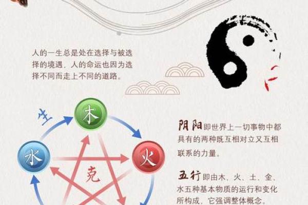 兔子年生人的五行命理解析：如何与命理和谐共生