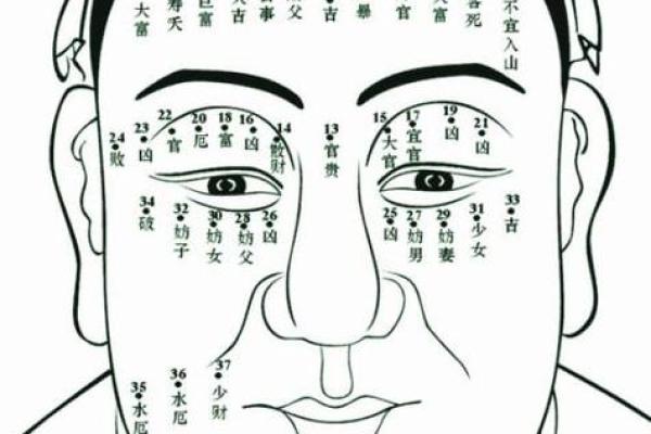 算命揭秘：太阴属性是何命，探索命运的奥秘