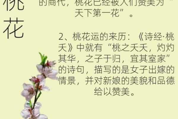 桃花运与致富：揭秘哪些女命能靠桃花快速致富