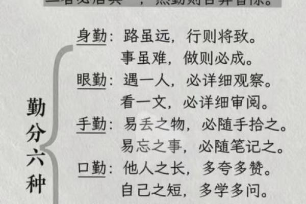 杨柳木命：柔韧如柳，坚韧不拔的人生哲学