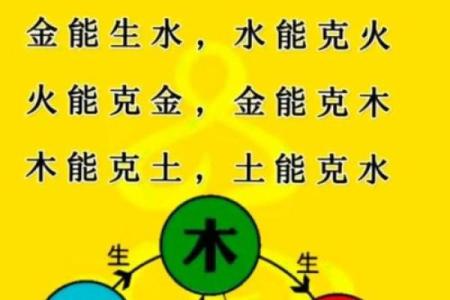 算命中的娇贵命：揭示命理背后的含义与影响