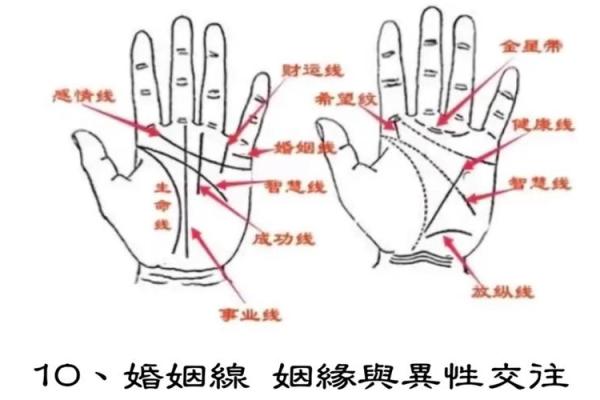 探秘手纹线三条命运：揭示你内心的秘密与人生走向