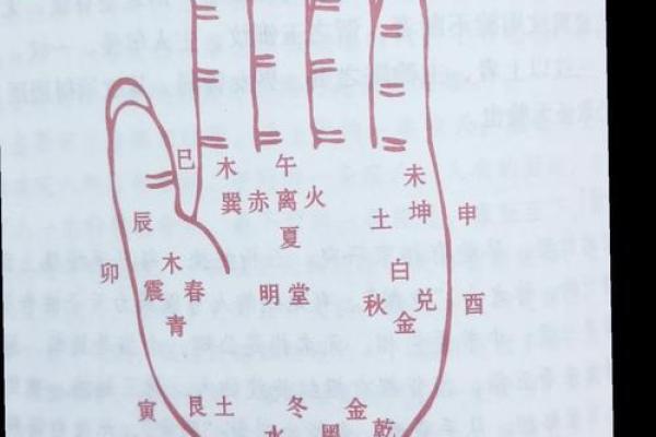 探秘手纹线三条命运：揭示你内心的秘密与人生走向