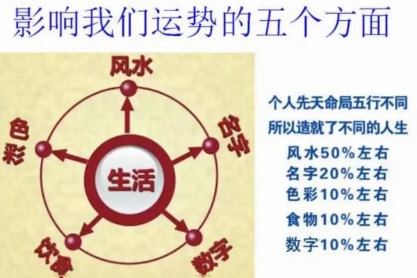 探秘命理：一命六命的奥秘和人生启示