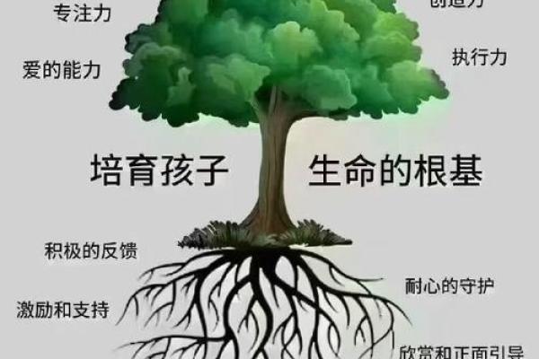 四个孩子的命运之路：探索人生的不同选择与结果