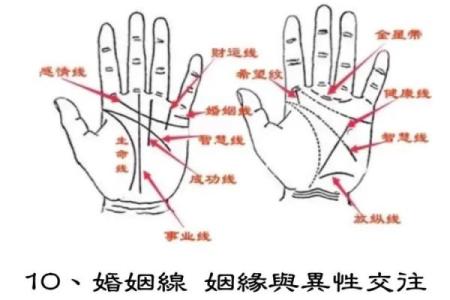 探秘手纹线三条命运：揭示你内心的秘密与人生走向