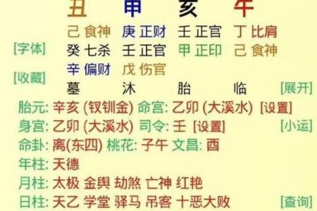 一九四六年出生的命运解析：八字看人生的起伏与轨迹