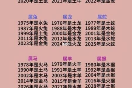 水中金命的完美搭配：五行相生的最佳伙伴