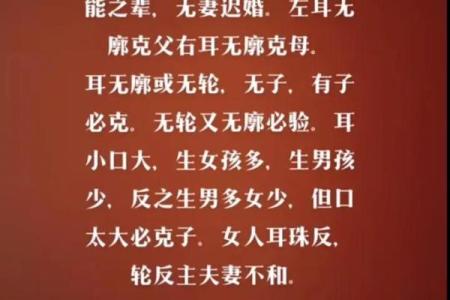 水牛命的性格与适合的命理搭配探讨