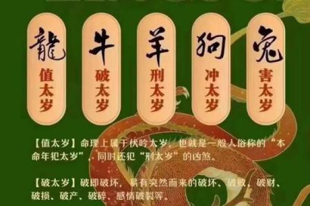 探讨属牛1997年的爱情命理：命运与情感的交织