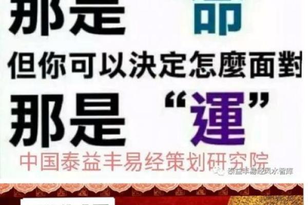 为什么36岁后要算命？探寻命运密码的奥秘