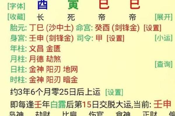 乙巳壬申庚子辛巳命解读：从五行看命理与人生走向