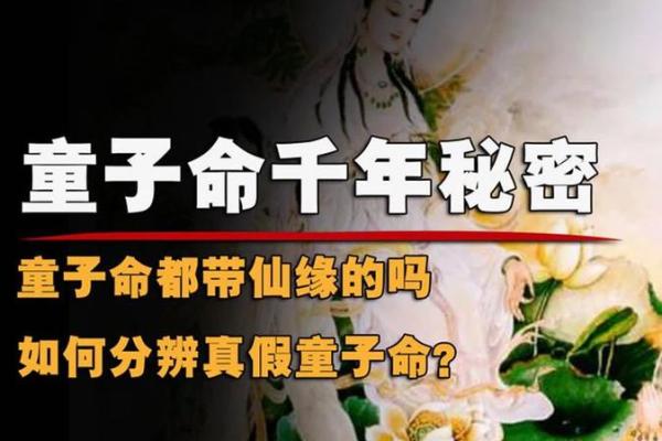 算卦与童子命：探索命理学中的神秘与启示