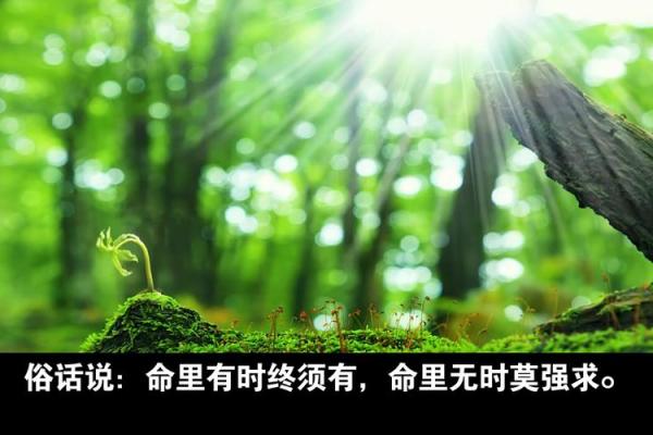 探秘赛命：你知道它的真正含义与用途吗？