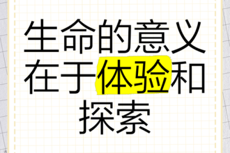 探索生命的意义：在日常中寻找不平凡的体验