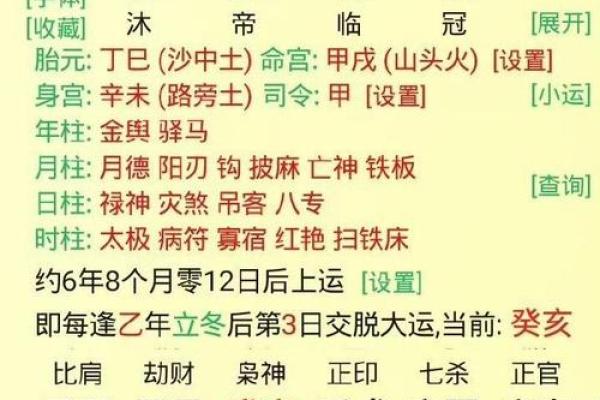 水命与木命的最佳数字解析：数字与命理的奇妙结合