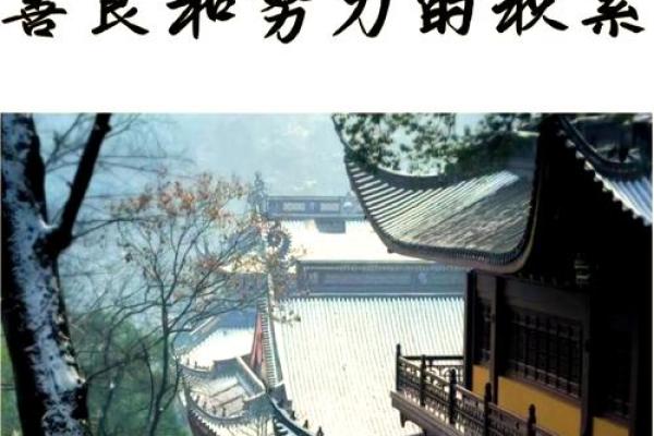 水命人适合开什么门，开启好运与生命之门的秘密