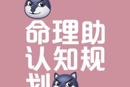 探寻命理之谜：八字背后的命运密码与人生轨迹