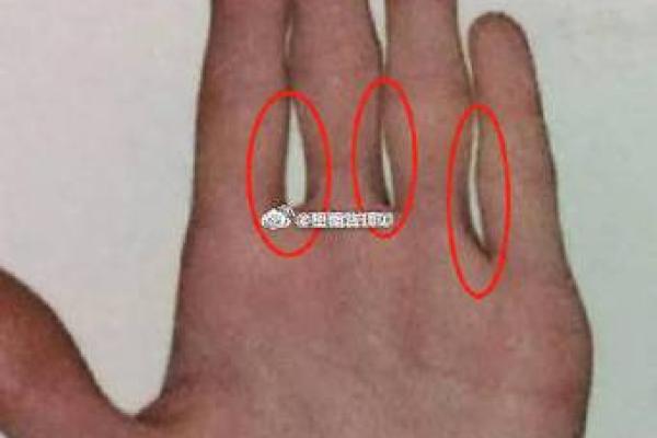 探秘手掌厚的秘密：为何厚手掌的人命运更佳？