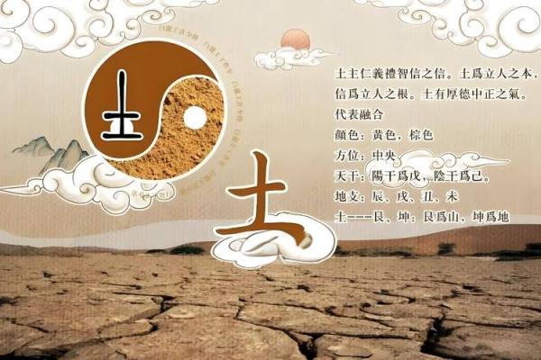 五行土命：选择吉祥数字的智慧与启示