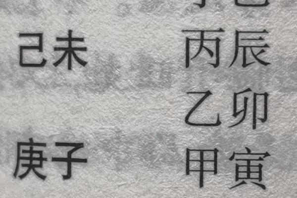 探秘“命”的奥秘：元神中的多样命理解析