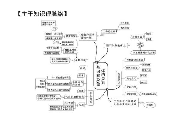 为什么有些父母会生下残疾儿子？探讨基因与环境的复杂关系