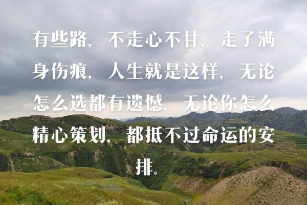 探秘星辰命：如何解读你的命运与人生轨迹？