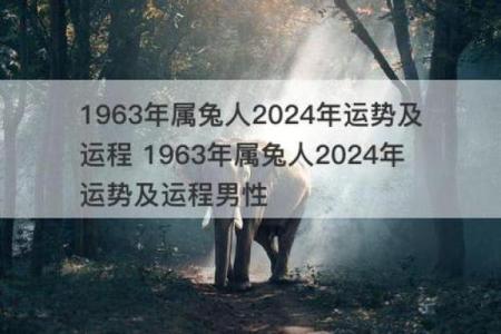 一九一一年生人命运揭秘：探索属兔之人的独特人生旅程