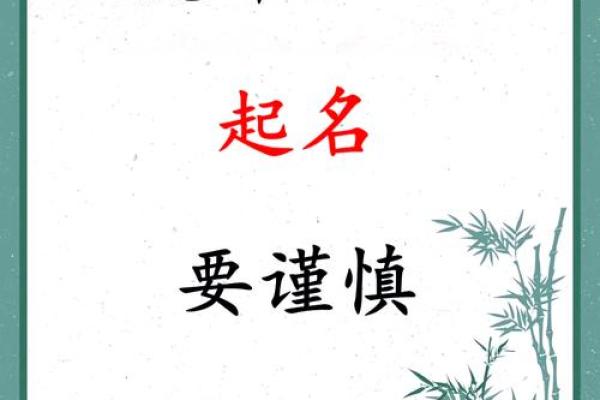 水虎命下的薛姓宝宝起名指南：如何为孩子选个好名字？